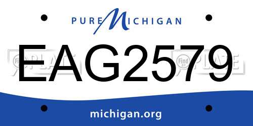 EAG2579 Michigan License Plate