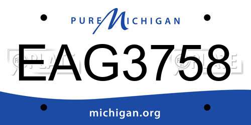 EAG3758 Michigan License Plate