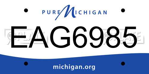 EAG6985 Michigan License Plate