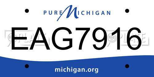 EAG7916 Michigan License Plate