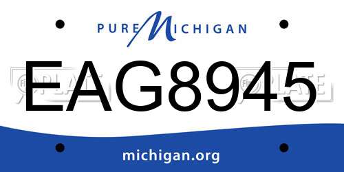 EAG8945 Michigan License Plate