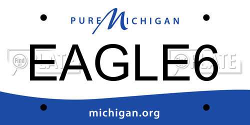 EAGLE6 Michigan License Plate