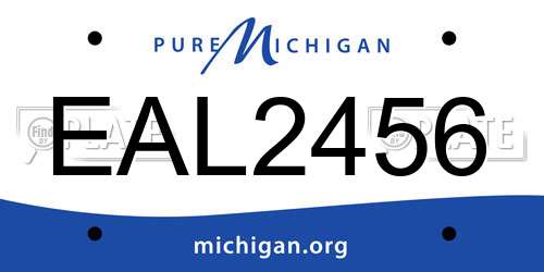 EAL2456 Michigan License Plate