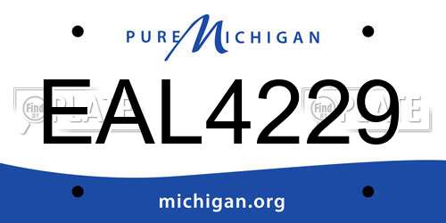 EAL4229 Michigan License Plate