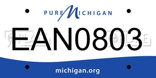 EAN0803 Michigan License Plate
