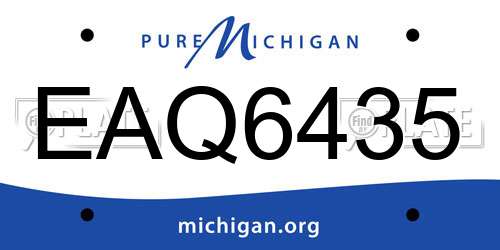 EAQ6435 Michigan License Plate