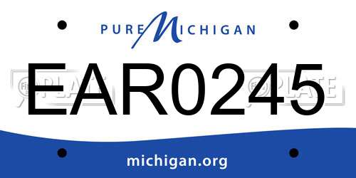 EAR0245 Michigan License Plate
