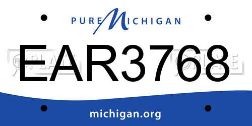 EAR3768 Michigan License Plate