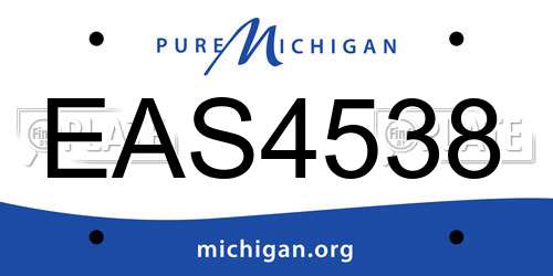 EAS4538 Michigan License Plate