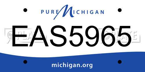 EAS5965 Michigan License Plate