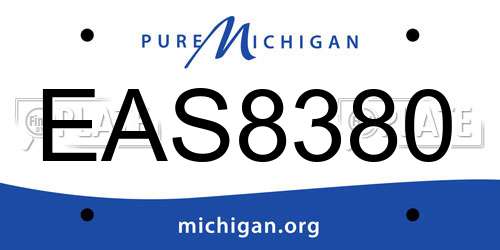 EAS8380 Michigan License Plate