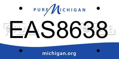 EAS8638 Michigan License Plate