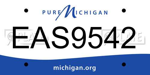 EAS9542 Michigan License Plate