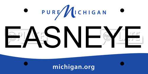 EASNEYE Michigan License Plate