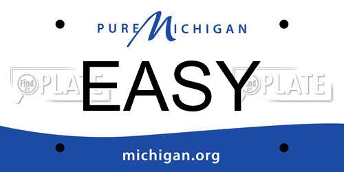 EASY Michigan License Plate