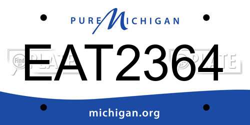 EAT2364 Michigan License Plate