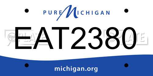 EAT2380 Michigan License Plate