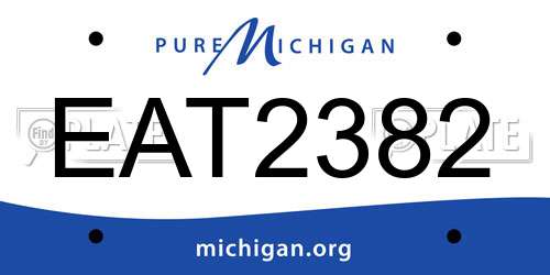 EAT2382 Michigan License Plate