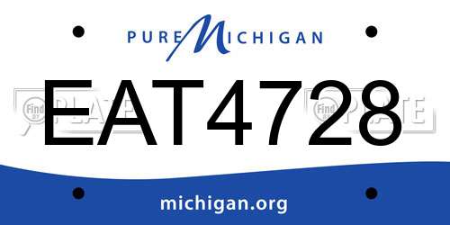EAT4728 Michigan License Plate