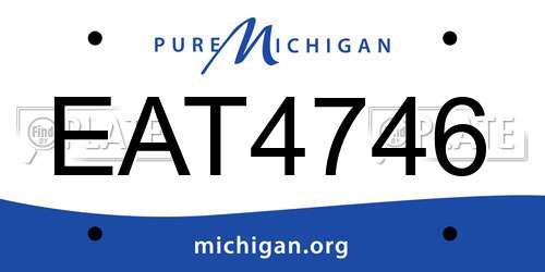 EAT4746 Michigan License Plate