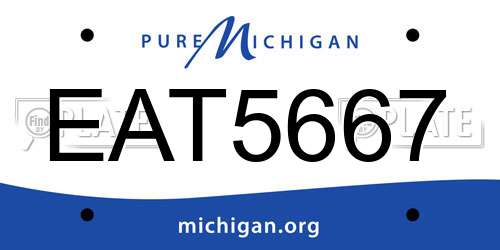 EAT5667 Michigan License Plate