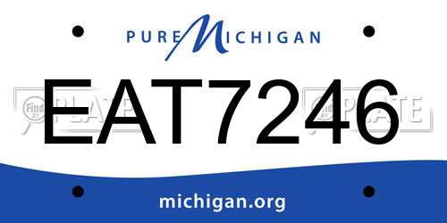 EAT7246 Michigan License Plate