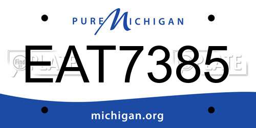 EAT7385 Michigan License Plate