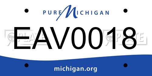 EAV0018 Michigan License Plate
