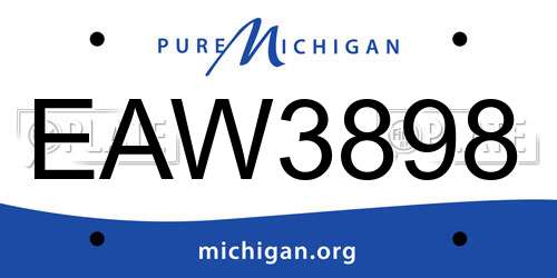 EAW3898 Michigan License Plate