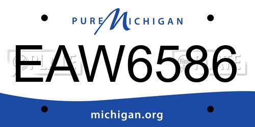 EAW6586 Michigan License Plate