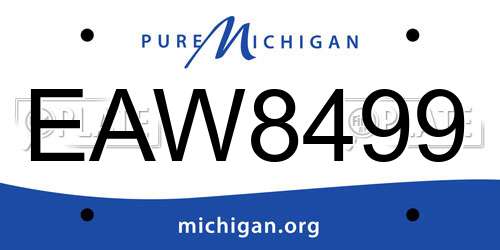 EAW8499 Michigan License Plate
