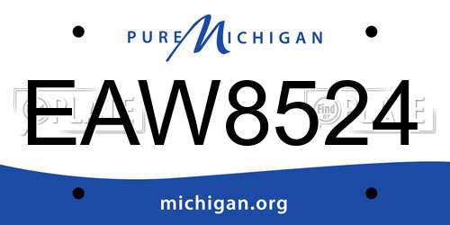 EAW8524 Michigan License Plate