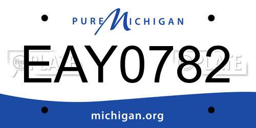 EAY0782 Michigan License Plate