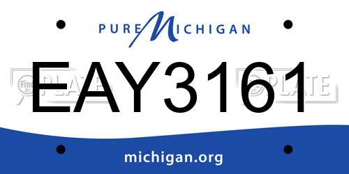 EAY3161 Michigan License Plate