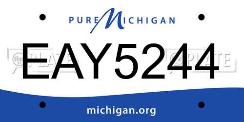 EAY5244 Michigan License Plate