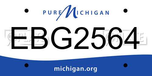EBG2564 Michigan License Plate