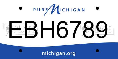 EBH6789 Michigan License Plate