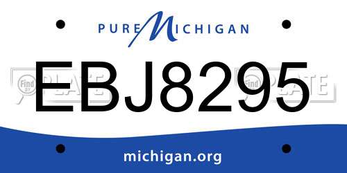 EBJ8295 Michigan License Plate