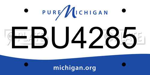 EBU4285 Michigan License Plate