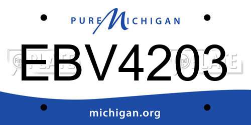 EBV4203 Michigan License Plate