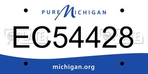 EC54428 Michigan License Plate