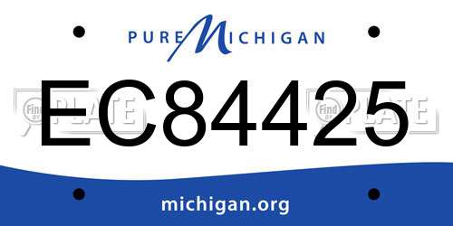 EC84425 Michigan License Plate