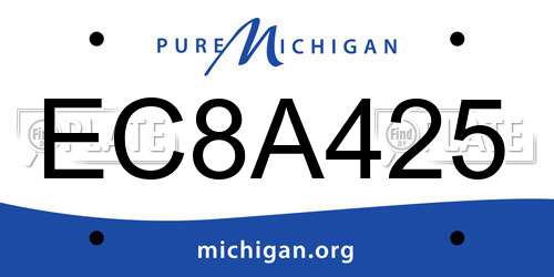 EC8A425 Michigan License Plate