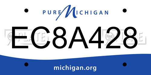 EC8A428 Michigan License Plate