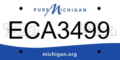 ECA3499 Michigan License Plate