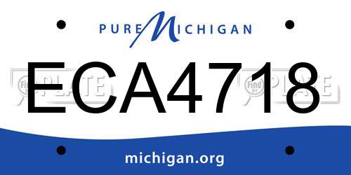 ECA4718 Michigan License Plate