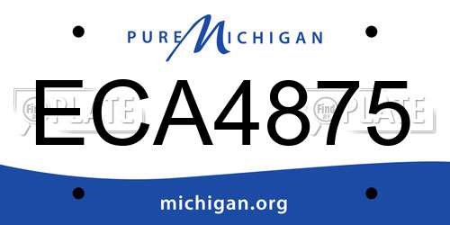 ECA4875 Michigan License Plate