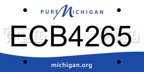 ECB4265 Michigan License Plate