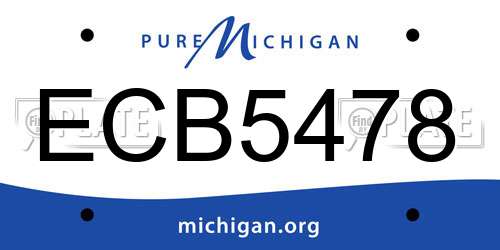 ECB5478 Michigan License Plate