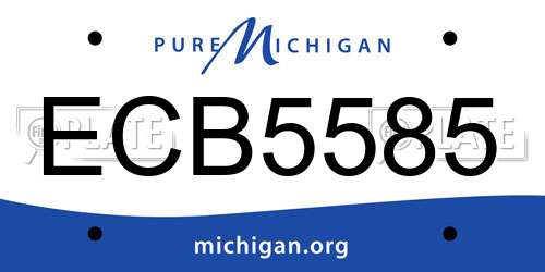ECB5585 Michigan License Plate
